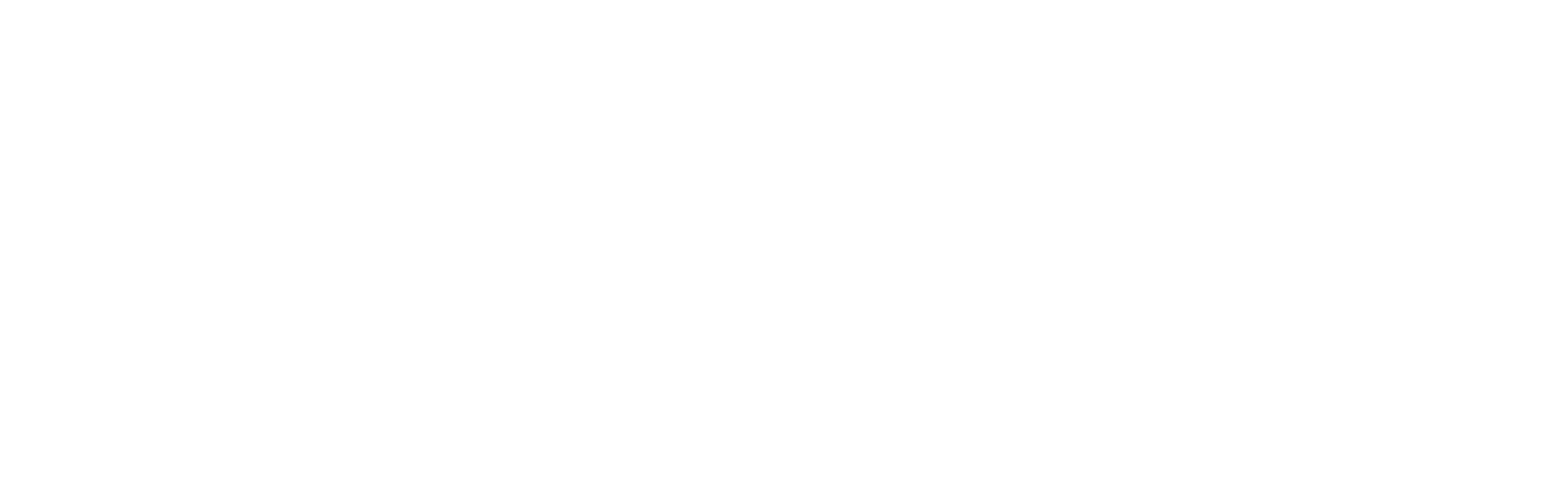 LOGO PARKER-T